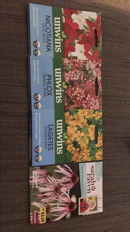 Photo of free flower seeds (Cosham) #1