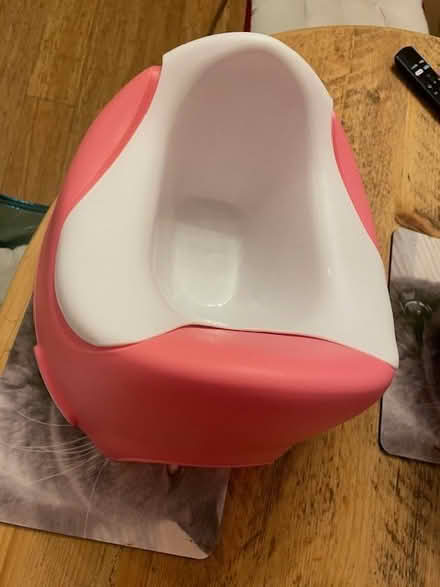 Photo of free Toddlers Potty (Hove) #1