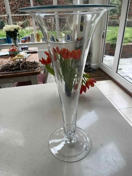 Photo of free Glass vase for long stemmed flowers (Peppard Common RG9) #1