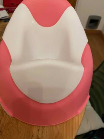 Photo of free Toddlers Potty (Hove) #2