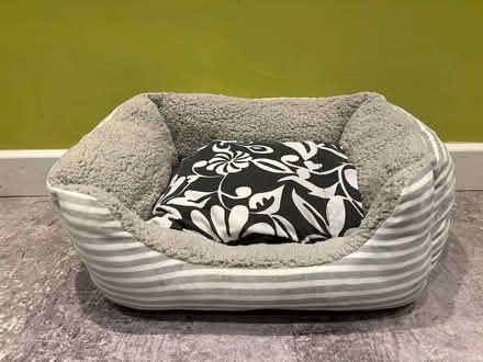 Photo of free Bed for cat or small dog (Horsham RH13) #1