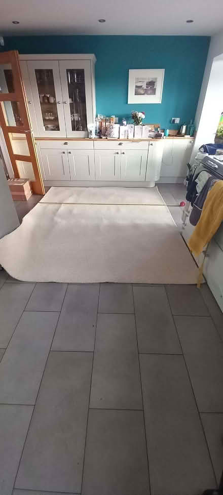 Photo of free Carpet brand new. (Ilsington TQ13) #4