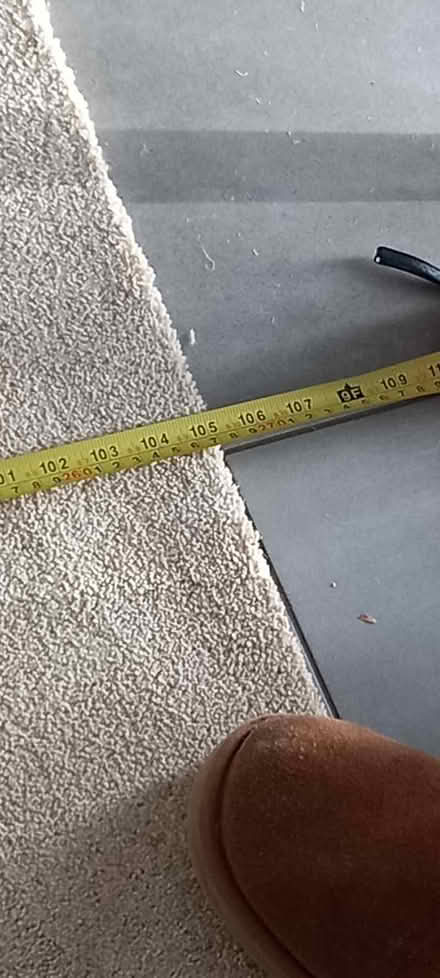 Photo of free Carpet brand new. (Ilsington TQ13) #2