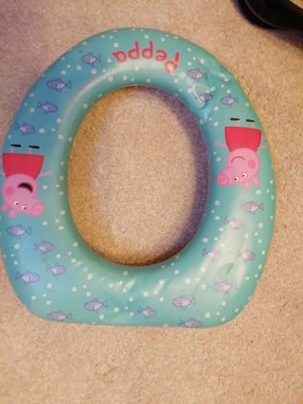Photo of free Potty training seat (Penrith CA11) #1