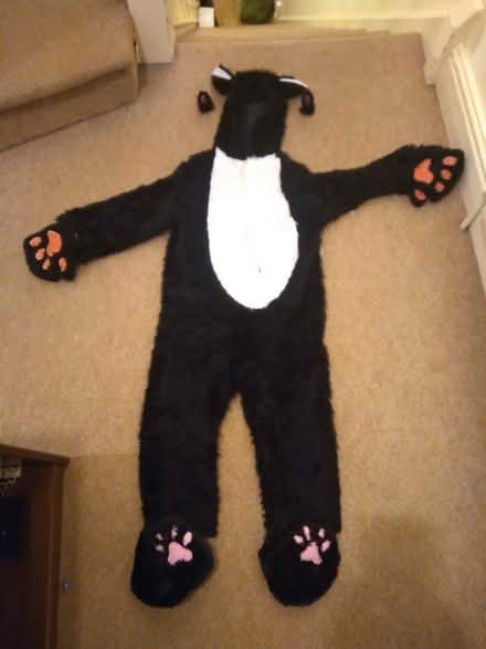 Photo of free Kids cat costume (Headington OX3) #1