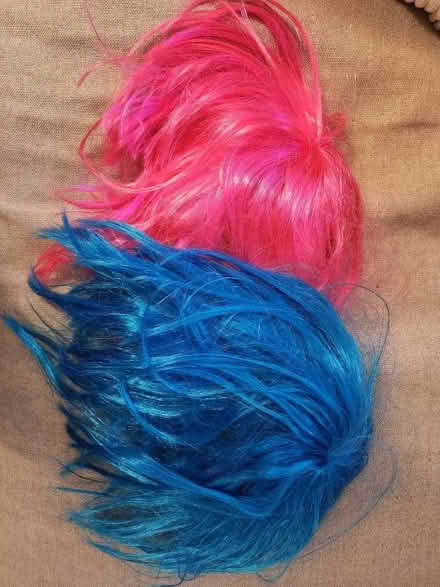 Photo of free Two fancy dress wigs (Higham Lane TN11) #1