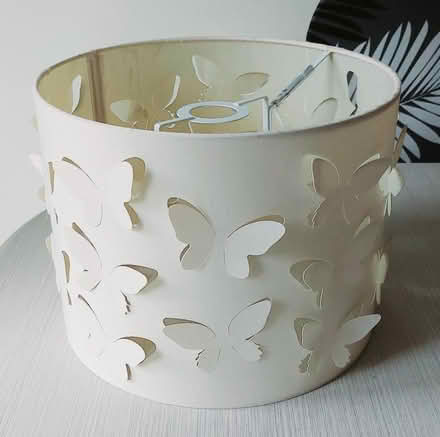 Photo of free Lampshade (Horley RH6) #1