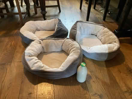 Photo of free 3 small pet beds (used) (Duffield DE56) #2