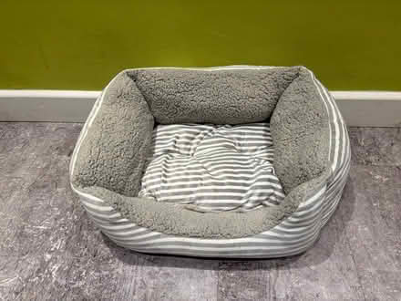 Photo of free Bed for cat or small dog (Horsham RH13) #2