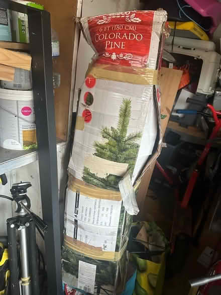 Photo of free Xmas tree (stevenage) #1