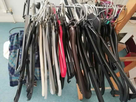 Photo of free Hangers (Seaburn) #1