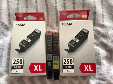 Photo of free Canon printer ink (southwest Schaumburg IL) #1