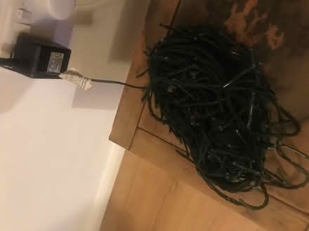Photo of free Blue fairy lights (Trumpington Ward CB2) #2