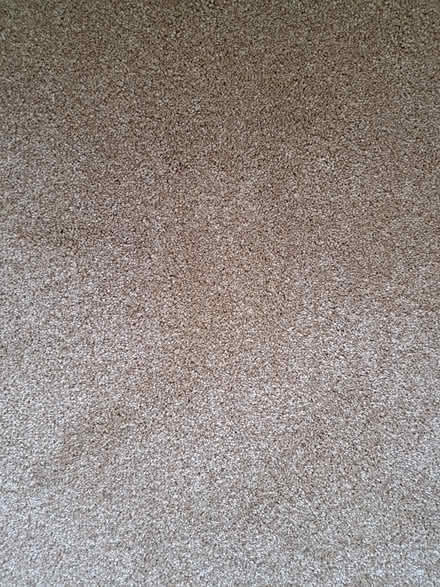Photo of free New carpet off cut (CB2) #2