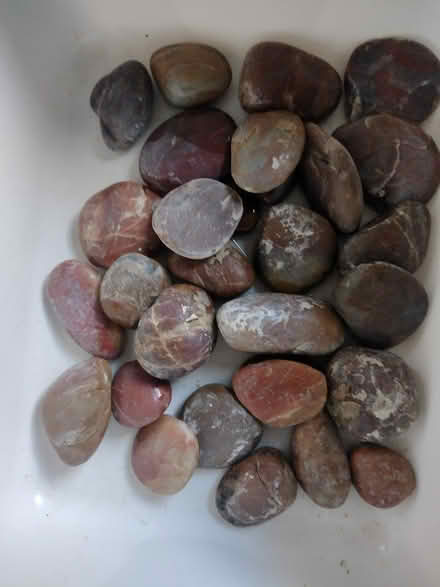 Photo of free Pebbles (BD18 Shipley) #1