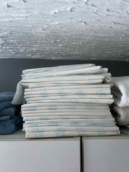 Photo of free Puppy training pads (Nottingham NG5) #1