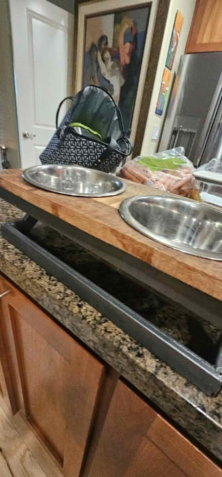 Photo of free Raised dog feeder (San Ramon) #1