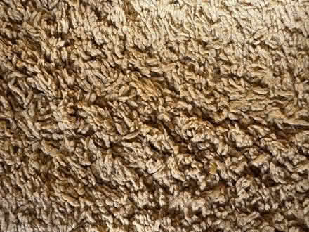 Photo of free La Redoute rug (Meldreth) #3