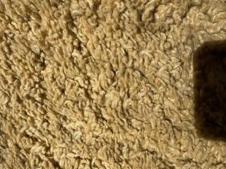 Photo of free La Redoute rug (Meldreth) #1