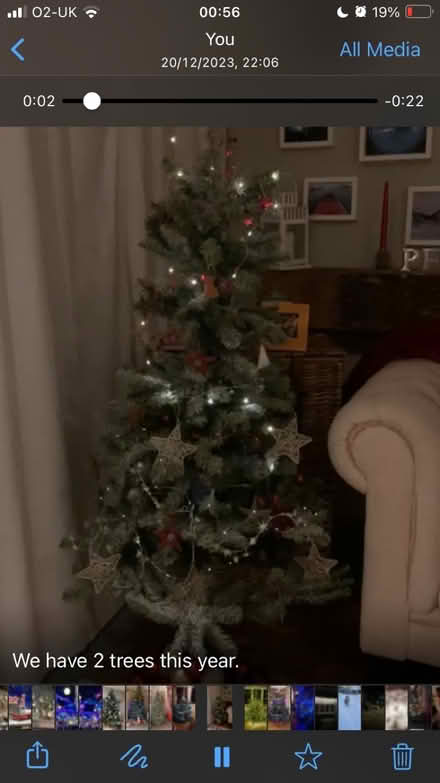 Photo of free Christmas tree (Southfields SW18) #1