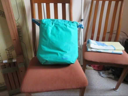 Photo of free Cooler Bag (Toftwood NR19) #1