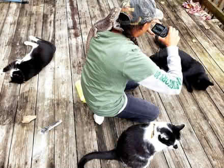 Photo of Timothy Hay, Bedding & Litter (germantown, md) #2