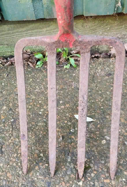 Photo of free Garden fork (Aldrington BN3) #2