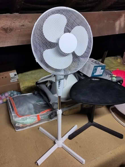 Photo of free Pedestal fan (Kings Heath B14) #1