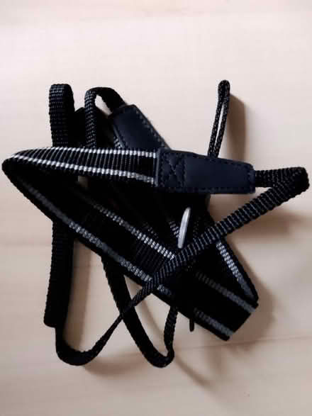 Photo of free Strap (Royal Leamington Spa CV31) #1