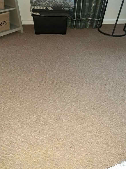 Photo of free fitted carpet (Bulwell NG6) #1