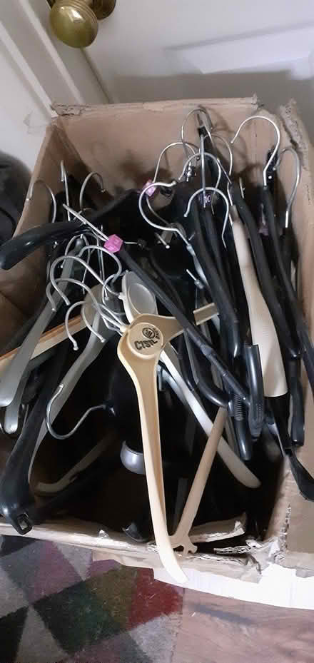 Photo of free Assorted dress/clothes hangers (GU3) #1