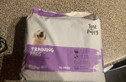 Photo of free Puppy training Pads (Whitnash CV31) #1