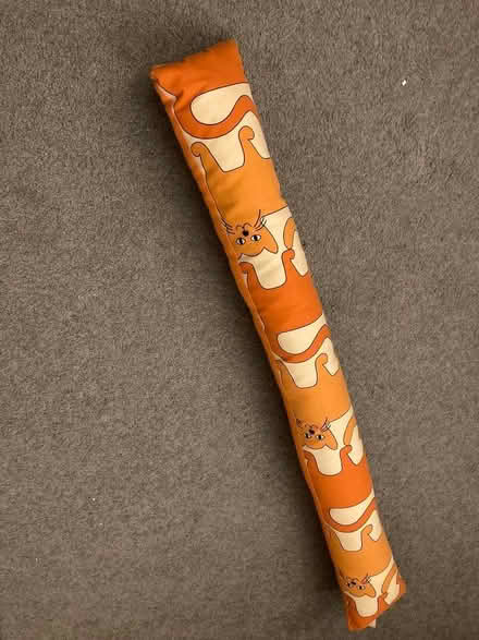 Photo of free Cat draught excluder (Drayton OX14) #1