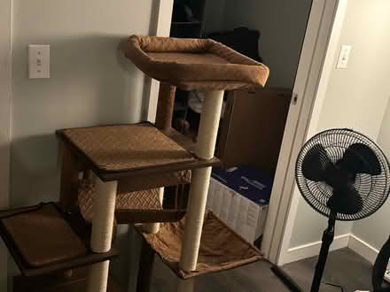 Photo of free Cat scratch stand and cat tree (South loop) #1
