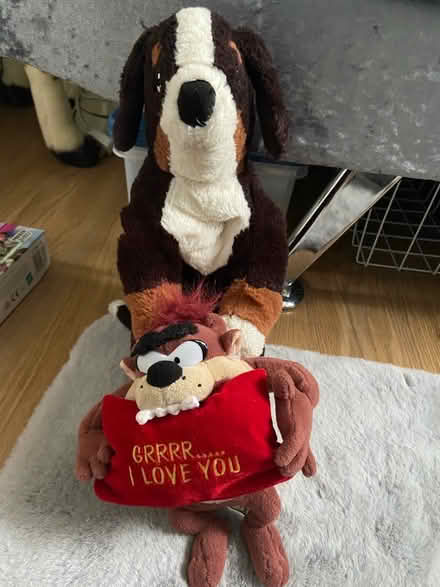 Photo of free 2small teddies (OX14) #1