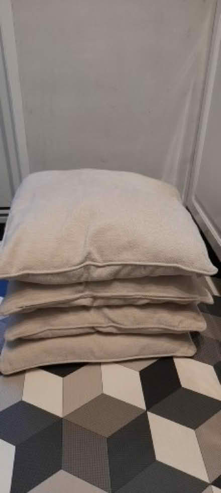 Photo of free Cushions (Springfield CM2) #1