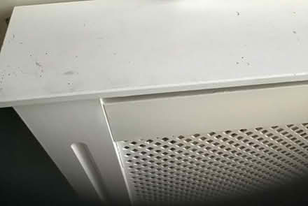 Photo of free Radiator cover/shelf. (Canton CF5) #1