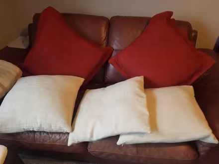 Photo of free 5 scatter cushions (Deaconsbank G46) #3