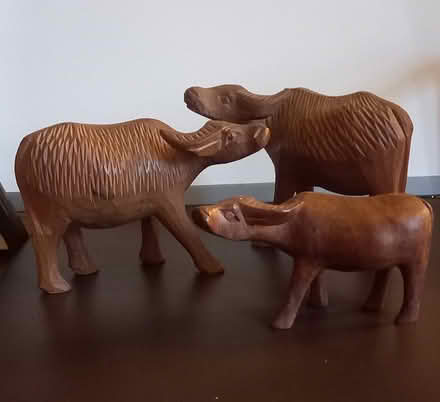 Photo of free Wooden water buffalos (Bradford on Avon) #1