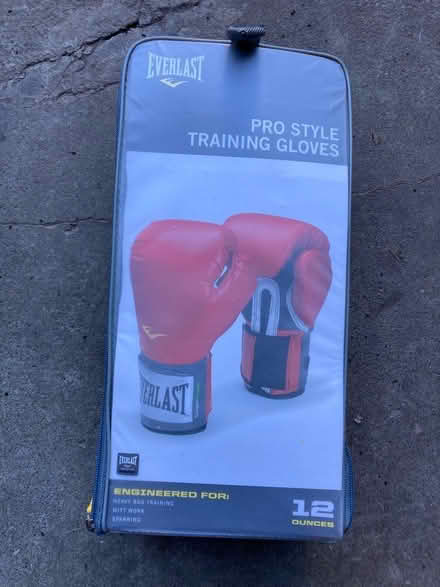 Photo of free Floor-standing punching bag (Capitol Hill) #4