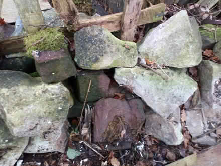 Photo of free Rockery stones (ST14) #1