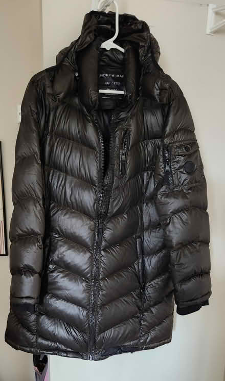 Photo of free Ladies Winter Jacket - size XL (University Area, Missola) #1