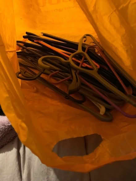 Photo of free Bag of coat hangers (Kennington OX1) #1