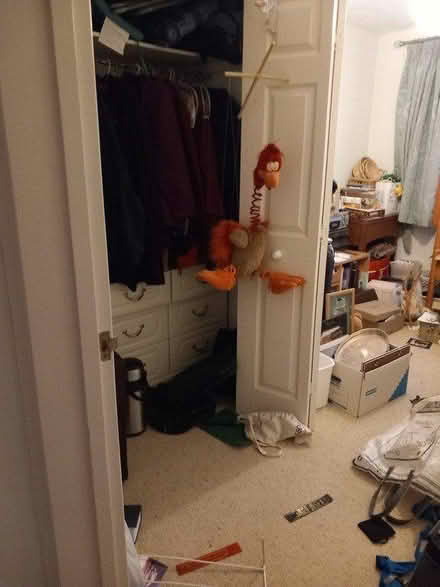 Photo of free MARIONETTE bird puppet (centre Banbury OX16) #1