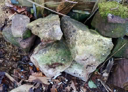 Photo of free Rockery stones (ST14) #3