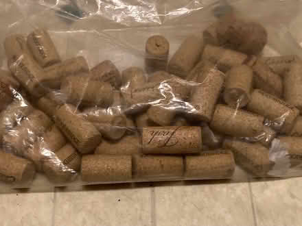 Photo of free Bag of Corks (East Cambridge) #1