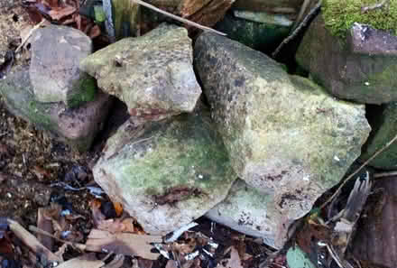Photo of free Rockery stones (ST14) #2