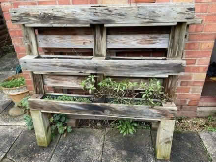 Photo of free Pallet planter, 120cm x 120 cm (East Oxford OX4) #2