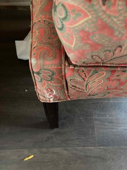 Photo of free Comfy wing-back chair (Emscote CV34) #2