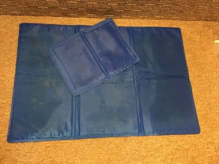 Photo of free Dog cool mats (Walbottle NE15) #1